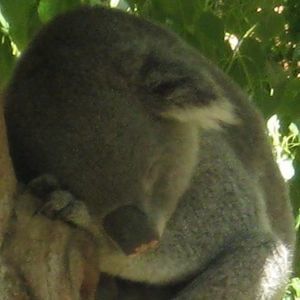 Meet your Posher, Joanne